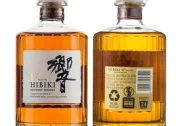 HIBIKI 17YO