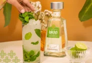 Tequila Reserva 1800 Coconut