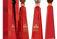1800 Guachimonton Anejo