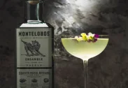 Montelobos Ensamble