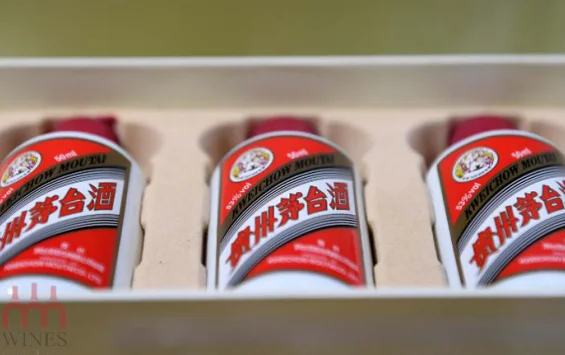 So sánh rượu Mao Đài 53 độ và 43 độ: Loại nào ngon?